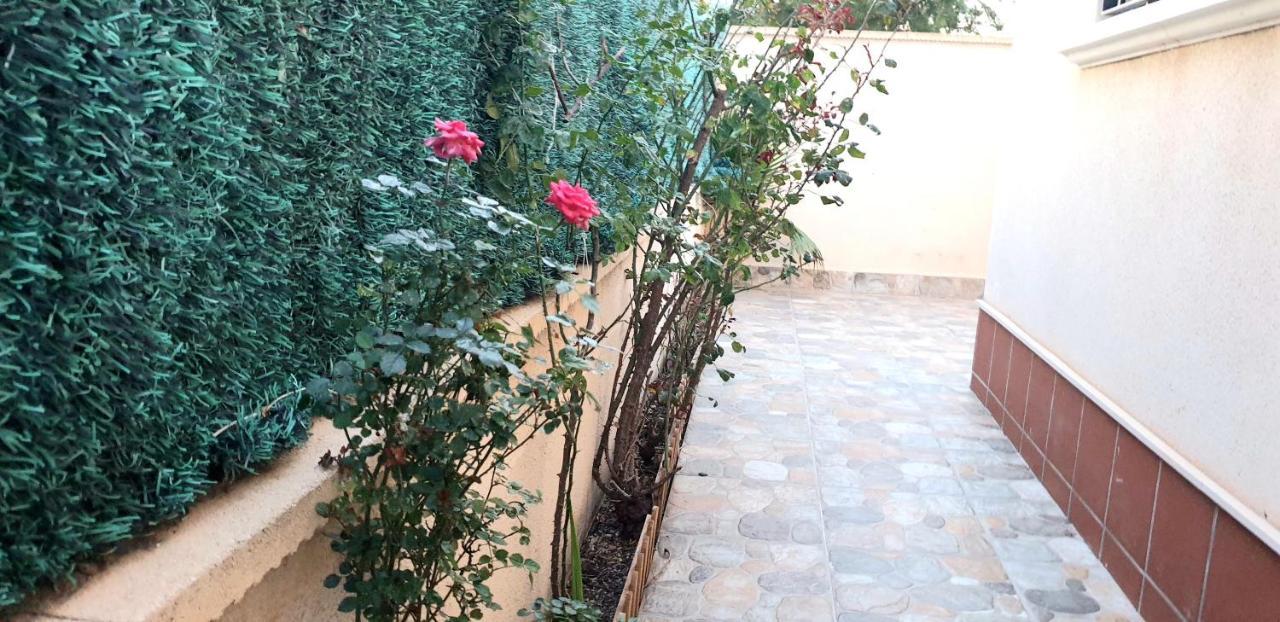 Arco Mediterraneo Chalet Independiente Torrevieja Kültér fotó
